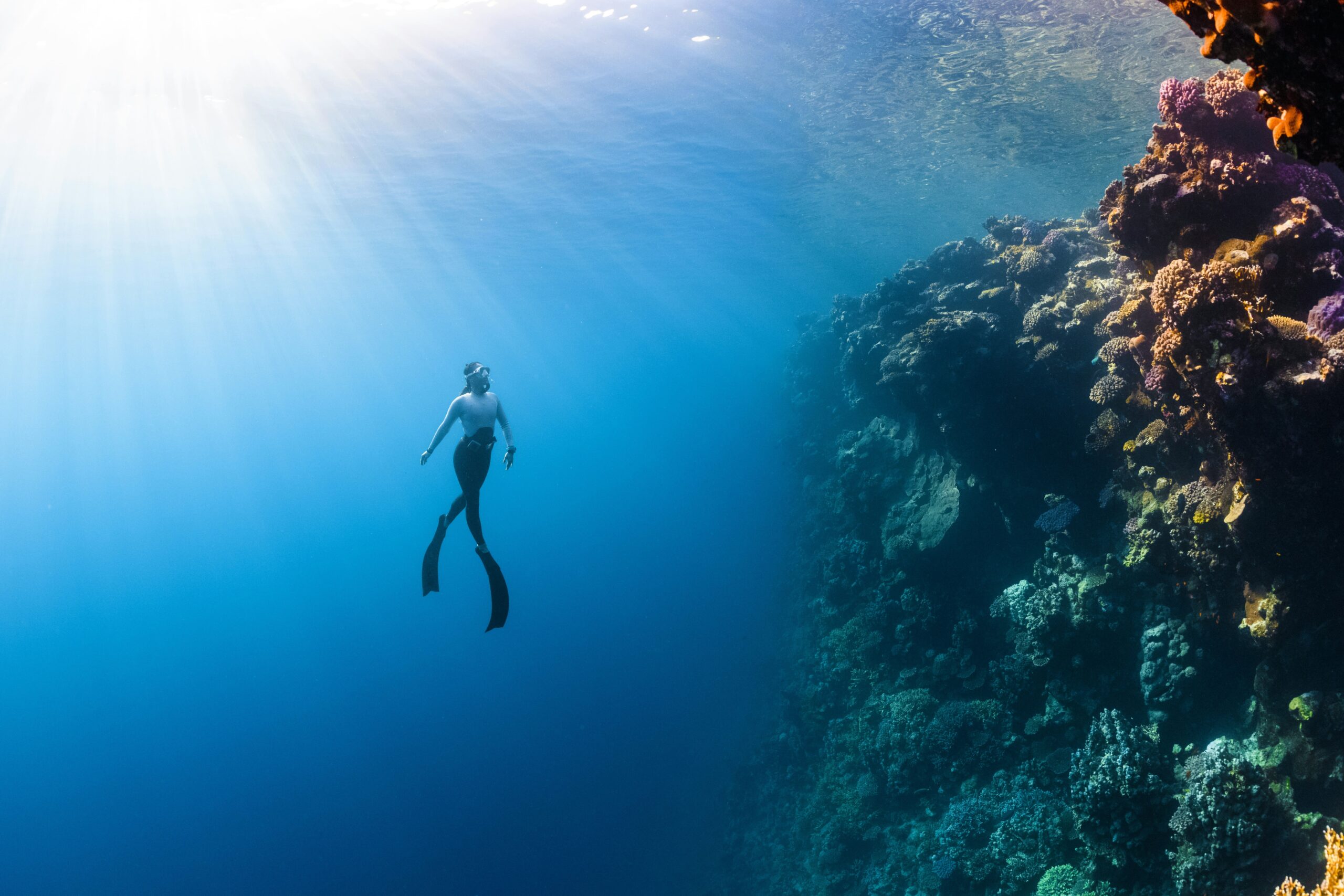 Explorez les mondes sous-marins : les destinations de plongée à travers le globe